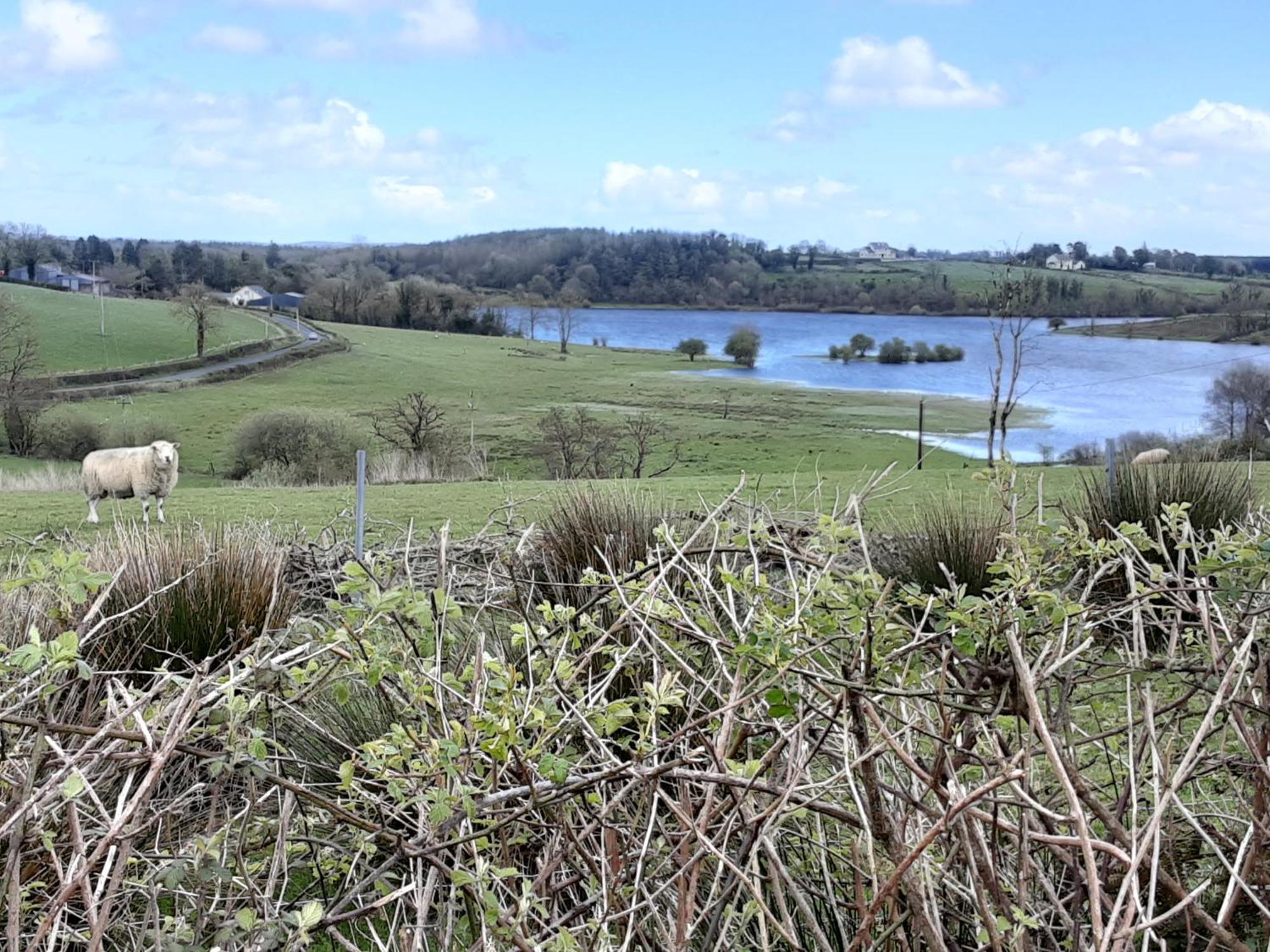 Belturbet Hawthorn Lodge المظهر الخارجي الصورة